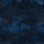 Zvaigžņotas debesis