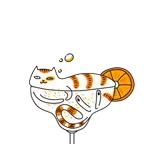 Kaķis pēc ballītes